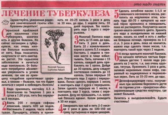 Стаья о молочае