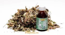 Настойка боровой матки (ортилии) 100 мл