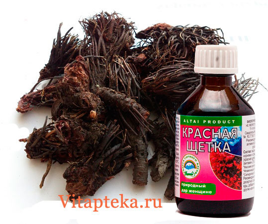 Настойка красной щетки