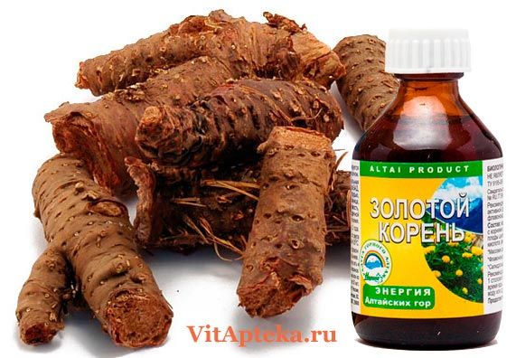 Настойка золотого корня (родиолы розовой) 100 мл