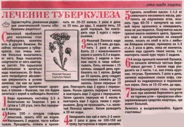 Стаья о молочае