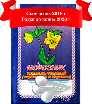 Морозник кавказский купить