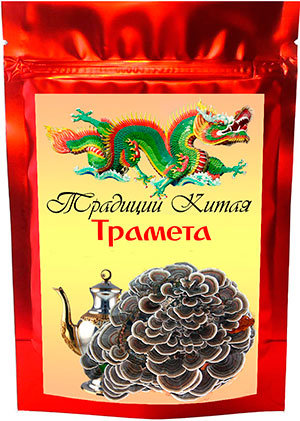 Купить трамету