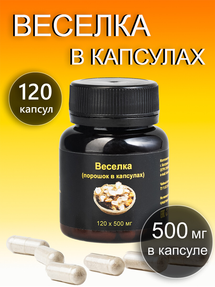 Гриб Веселка оптом цена от 6800 руб/кг - купить в Вит Аптеке