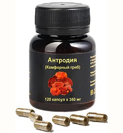 Экстракт антродии