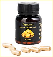 Экстракт гриба ежовик
