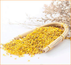 Османтус цветы