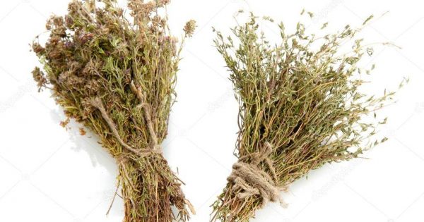 Купить сухие травы