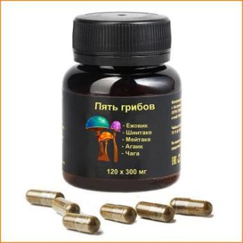 Купить микс 5 грибов