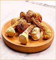 Где заказать агарик Стоимость агарика за 1 кг