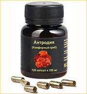Экстракт антродии Экстракт антродии камфорной цена за 120 капсул