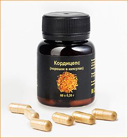 Кордицепс
