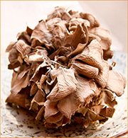 Майтаке Купить майтаке оптом цена за 1 кг