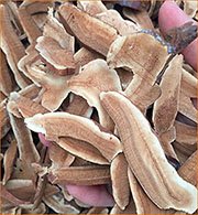 Где заказать рейши Стоимость гриба рейши за 1 кг