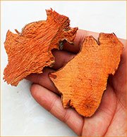 Экстракт смилакса Корень смилакса